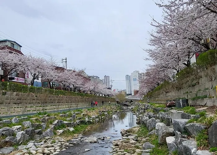Apartment Flash Sale Cozy 3br Hanok 서울 야경 명소 낙산공원 광화문 주차가능 24시 셀프체크인 Seoul