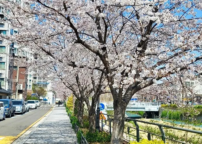 Flash Sale Cozy 3br Hanok 서울 야경 명소 낙산공원 광화문 주차가능 24시 셀프체크인 Apartment *
