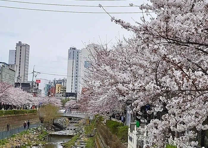 Flash Sale Cozy 3br Hanok 서울 야경 명소 낙산공원 광화문 주차가능 24시 셀프체크인 Apartment Seoul